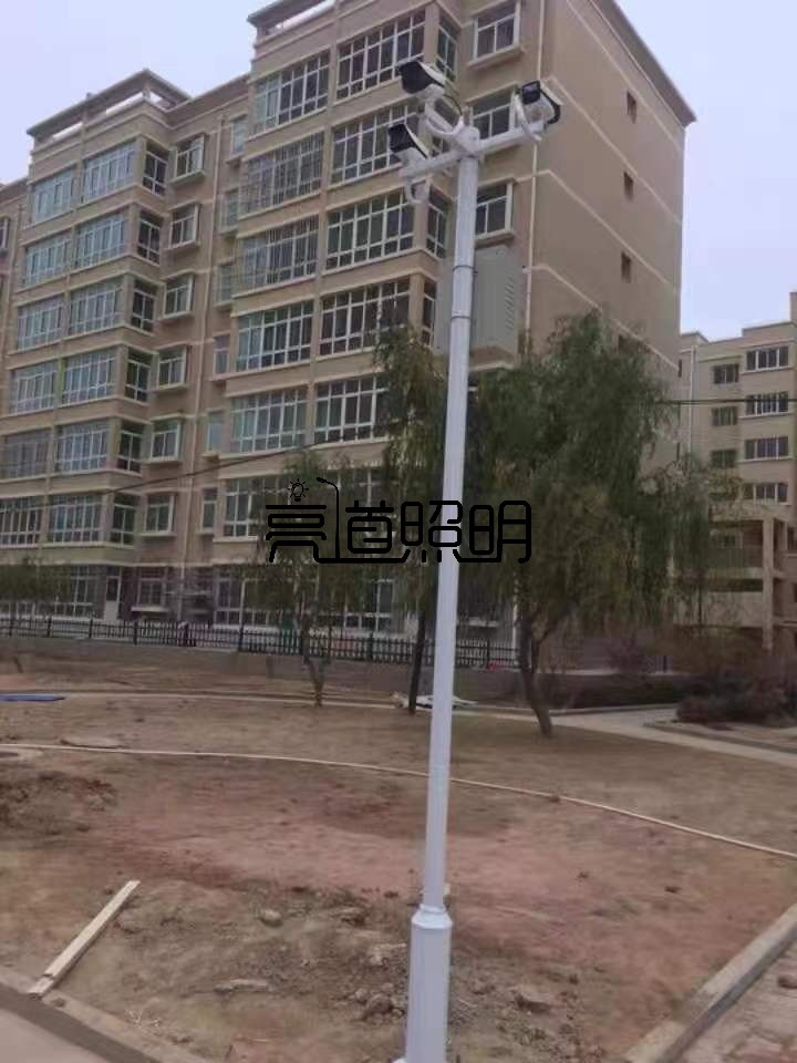遼寧室外監(jiān)控桿