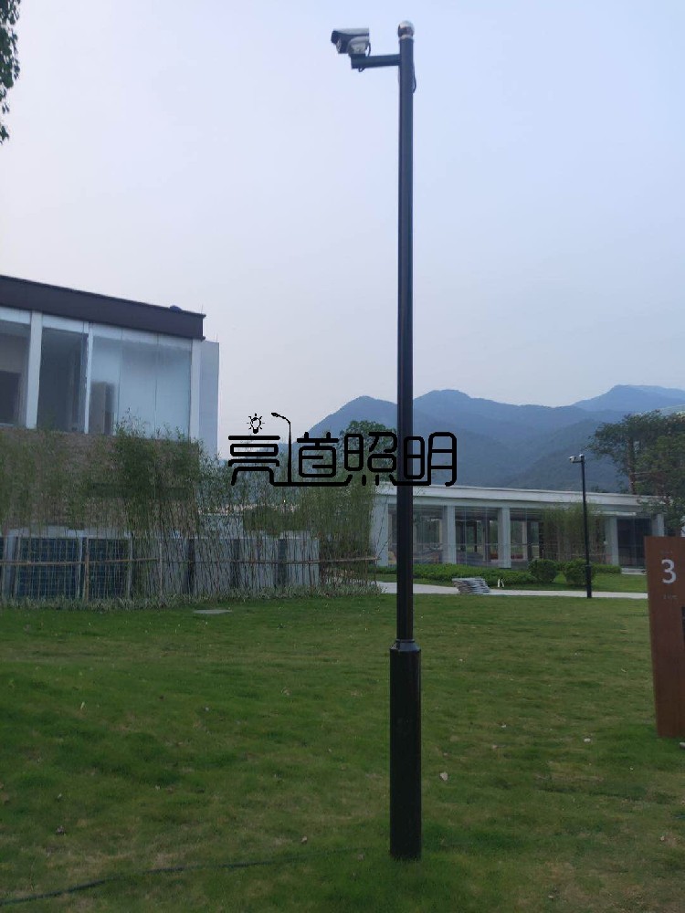 遼寧監(jiān)控桿立桿廠家