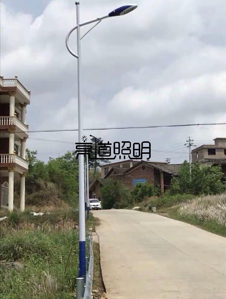 遼寧海螺臂路燈桿農(nóng)村道路亮化