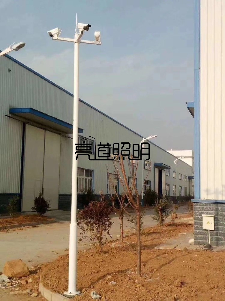 遼寧6米監(jiān)控桿立桿